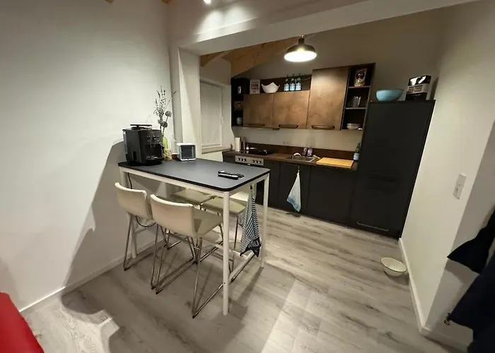 Neues Holzhaus Am Steinhuder Tatil Evi